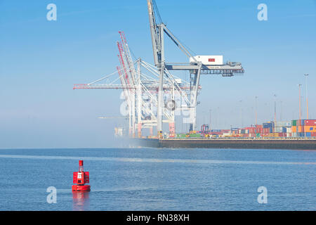 Meer Nebel Heben über Brückenkrane (Container Krane), Im Container Terminal Southampton, Hampshire, Vereinigtes Königreich. Stockfoto