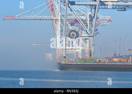 Meer Nebel Heben über Brückenkrane (Container Krane), Im Container Terminal Southampton, Hampshire, Vereinigtes Königreich. Stockfoto