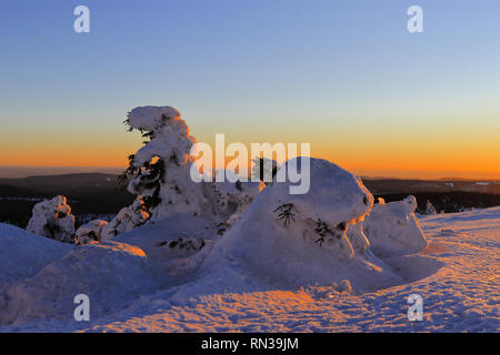 Winterlandschaft auf den Brocken, Nationalpark Harz, Sachsen-Anhalt, Deutschland. Verschneiten nadelbäumen vor einem spektakulären Sonnenuntergang Himmel. Stockfoto