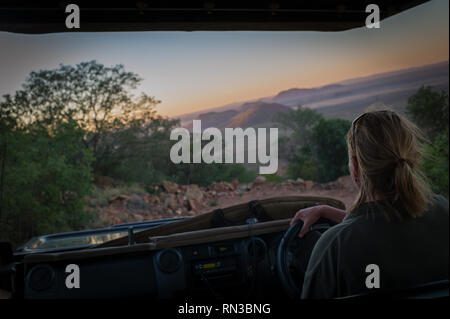 Eine weibliche Safari Guide Laufwerke ein offenes Fahrzeug auf eine Pirschfahrt bei Sonnenuntergang in Madikwe Game Reserve, North West Provinz, Südafrika Stockfoto
