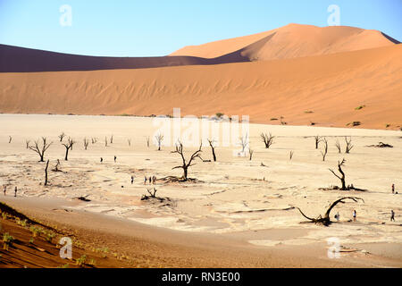 Tote Bäume im Deadvlei in den Namib-Naukluft Park, Namibia Stockfoto