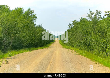 Eine lange gerade Straße im Sommer Stockfoto