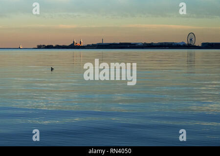 Enten am Lake Michigan Stockfoto