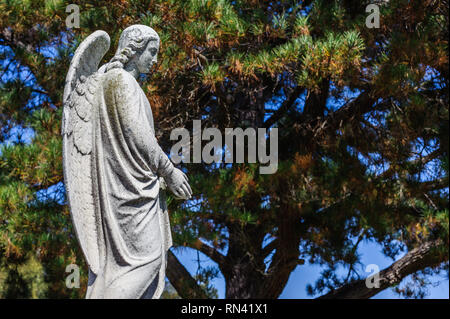 Ein Stein Engel Grab Denkmal am Saint Mary's Friedhof in Oakland, Kalifornien. Stockfoto