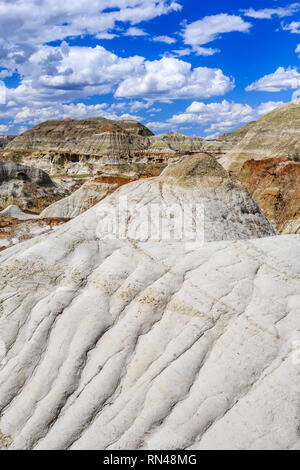 Badlands der Dinosaur Provincial Park, Alberta, Kanada. Stockfoto