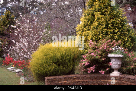 BLUE MOUNTAINS Garten mit verschiedenen Bäumen und Sträuchern. NEW SOUTH WALES, Australien. Stockfoto