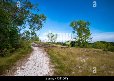 Bukit Kubong ist bei 148 m über dem Meeresspiegel und es ist ein beliebter Ort zum Wandern in Labuan Island. Stockfoto