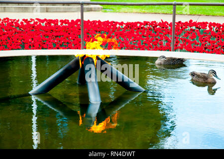 Staatliche Krieg Memorial - Perth - Australien Stockfoto