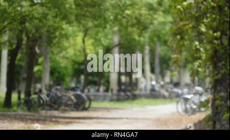 Die Defokussierten Blumen und Pflanzen in der Wiese im Hintergrund Stockfoto