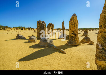 Pinnacles Wüste der Nambung Nationalpark am Morgen, Western Australia Stockfoto