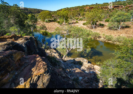 Murchison River von Ross graham Aussichtspunkt in Kalbarri National Park an einem sonnigen Tag, Western Australia Stockfoto