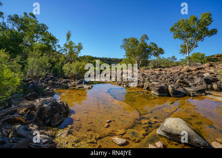 Murchison River von Ross graham Aussichtspunkt in Kalbarri National Park an einem sonnigen Tag, Western Australia Stockfoto