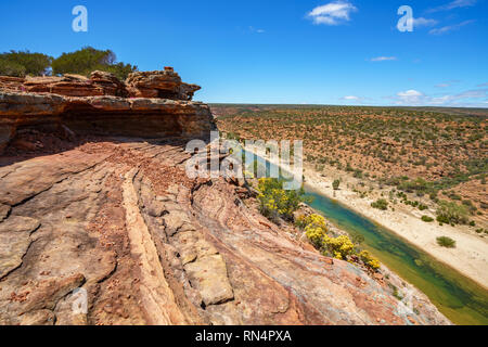 Wandern im Canyon. Naturen Fenster Loop Trail, Kalbarri Nationalpark, Western Australia Stockfoto