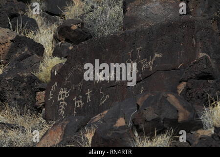 Alte Gebürtige amerikanische Rock Art entlang der Rinconada Trail im Petroglyph National Monument, Albuquerque, New Mexico Stockfoto