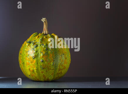 Grün und Orange Kürbis auf Stein Schreibtisch mit dunkelbraunen Hintergrund Stockfoto