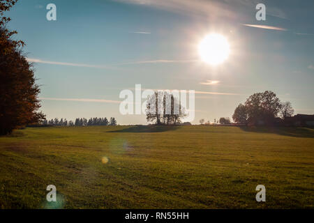 Wiese mit Bäumen und Sonne, Tschechische Landschaft Stockfoto