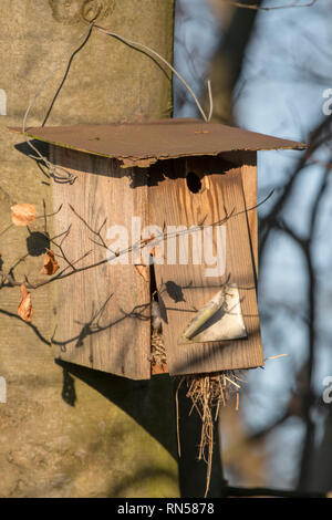Alte hausgemachte Vogel Nistkasten hängt an einen Baum vor verschwommenen Hintergrund gebrochen Stockfoto