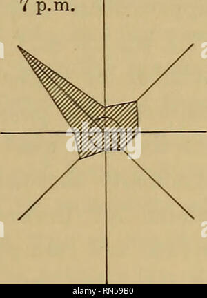 . Die Anden des südlichen Peru; geographische Aufklärer entlang der Dreiundsiebzigsten Meridian. Yale Peruvian Expedition (1911); Physische Geographie; Geologie. 19:00 Uhr. Abb. 100 - Wind Rosen für Maehu Piceliu, 20. August bis 6. November 1912. untere Tal); daher einen barometrischen Steigung in Richtung des Berges wird gegründet. In der Machu Picchu die Schlucht des Torontoy trends Nordwesten, es Fahren einer scharfen Kurve von einer ebenso deutlichen Nordosten direkt vor Verbiegen. Die östliche Komponenten sind unabhängig von der Topographie. Sie repräsentieren die Trades. Wenn ein Wind Rose wurden für noch früheren Morgenstunden gemacht Stockfoto