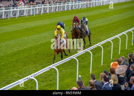 Die Chester Vase Rennen treffen in Chester Rennen. Stockfoto