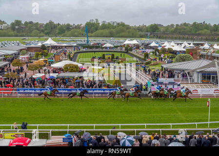 Die Chester Vase Rennen treffen in Chester Rennen. Stockfoto