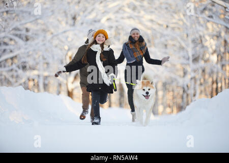 Mädchen gehen Hund im Park Stockfoto