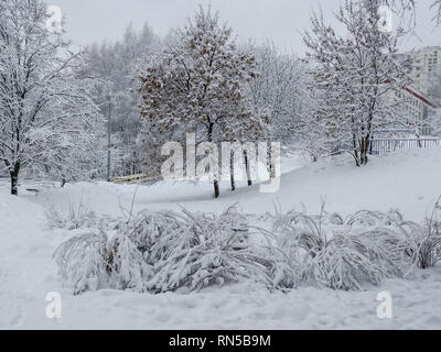 Winterlandschaft mit den Bäumen und Büschen mit Schnee nach einem starken Schneefall bedeckt Stockfoto