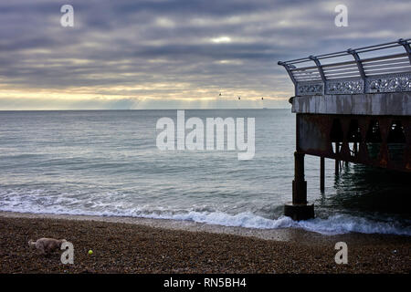 Ein Hund läuft für eine Kugel in der Nähe von South Parade Pier mit Blick auf den Solent An einem Winternachmittag Stockfoto
