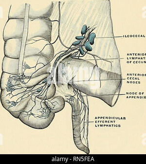 . Anatomie, beschreibende und angewendet werden. Anatomie. Epithel muskulöse Schicht Abb. 1058.- Querschnitt Der vermiform Appendix ich Lumen des Dickdarms. Der obere, fast horizontal in Richtung, durch seine konvexe Grenze verbunden ist, tlie Punkt der Kreuzung der ileum mit dem Doppelpunkt; das untere Segment, das mehr Dreschkorb und länger, bis zur Kreuzung der ileum mit dem Caecum befestigt. An jedem Ende der Blende die beiden Segmente ANTERIOR LYMPHATICS der BLINDDARM. Abb. 1039.- Lymphe. itica von tlie Caecum und Anhang, anteriore Ansicht. (Poirier und Charpy.) des Ventils coalesce Stockfoto