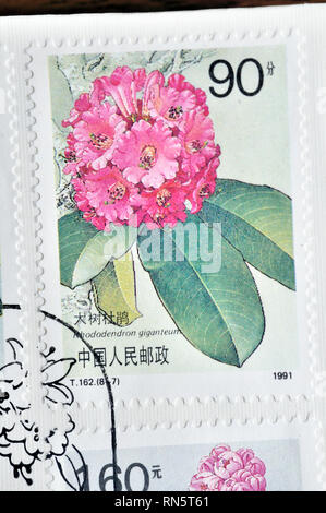 CHINA - ca. 1991: einen Stempel in China zeigt gedruckt, ca. 1991 Stockfoto