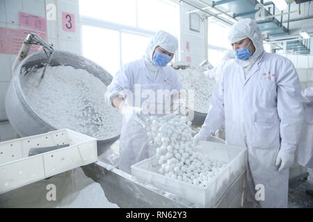 Peking, China. 17 Feb, 2019. Arbeitnehmer machen Süße Knödel, eine Art Klebreis - Pudding mit Füllungen von verschiedenen Geschmacksrichtungen gefüllt, auf einem Workshop der eine altehrwürdige Lebensmittel produzierenden Unternehmen in Peking, der Hauptstadt von China, Nov. 17, 2019. Arbeitnehmer der Food Company besetzt sind die Herstellung von süßen Knödel zu erfüllen, die der Markt braucht für die Chinesische Laterne Festival, das am 13.02.19 In diesem Jahr fällt. Credit: Chen Xiaogen/Xinhua/Alamy leben Nachrichten Stockfoto