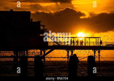 Aberystwyth, Großbritannien. 17 Feb, 2019. UK Wetter. Wie die Sonne dramatisch über die Cardigan Bay am Ende einer anderen Tag der warmen sonnigen Wetter, Leute stehen am Ende der Pier in Aberystwyth werden von einigen zig Tausende von Staren, die für die Nacht auf den Wald von Gusseisen Beine unter Victorian seaside von Aberystwyth Pier roost umgeben. Der Westküste Stadt ist einer der wenigen städtischen Quartieren im Land und zieht Menschen aus der ganzen UK, Zeuge der spektakulären nächtlichen zeigt zwischen Oktober und März. Credit: Keith Morris/Alamy leben Nachrichten Stockfoto