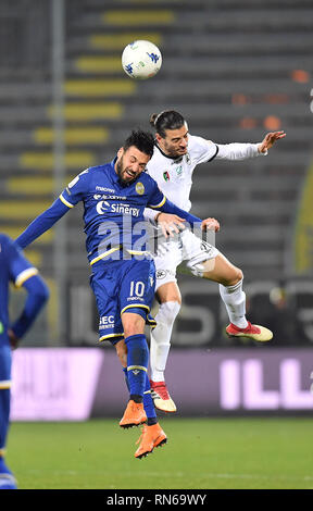 Foto LaPresse - Tano Pecoraro 17 02 2019 La Spezia - (Italia) Sport Calcio Spezia vs Verona Campionato di Calcio Serie BKT 2018/2019 - Stadio" Alberto Picco" nella Foto: di Carmine samuel Foto LaPresse - Tano Pecoraro, 17. Februar 2019 Stadt La Spezia (Italien) Sport Fussball Spezia vs Verona italienische Fußball-Liga BKT 2018/2019 - "Alberto Picco" Stadion der Pic: di Carmine Samuel Stockfoto