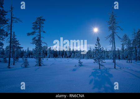 Pallas Berge bei Mondschein mit langen Schatten der Fichten und frischen Schnee in Tunturi Pallas-Ylläs Nationalpark in Muonio, Finnland Stockfoto