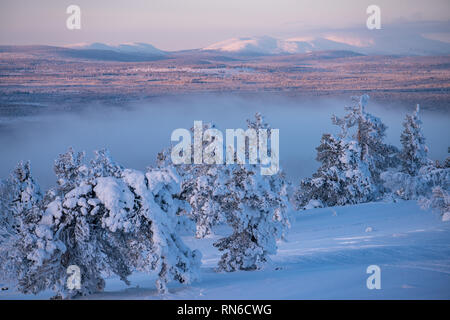 Winterlandschaft Szene im Skiort Levi mit Pallas Fells im Hintergrund in Kittilä, Finnland Stockfoto