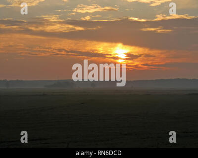 Sonnenaufgang über den Wiesen Stockfoto