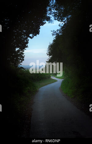 Ein glatter Asphalt Asphalt Winde aus einem dunklen Baum Tunnel. Stockfoto