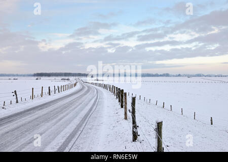 Blick über die Bislicher Insel/Bislicher Insel, schneebedeckten weiten Grasland, bekannte Naturschutzgebiet in Nordrhein-Westfalen, Untere loctaed Stockfoto