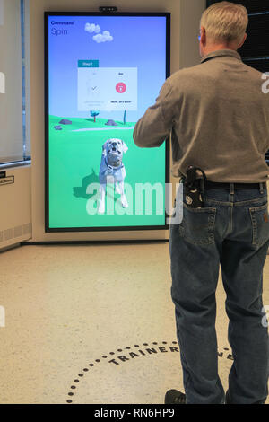 AKC Museum der Hund, New York City, USA Stockfoto