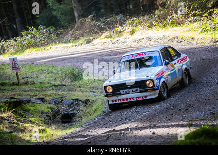 Rally Car in den Cambrian Rallye 2019 konkurrieren, in Alwen Forest, North Wales Stockfoto