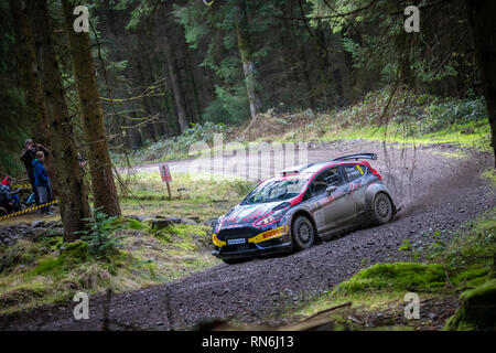 Rally Car in den Cambrian Rallye 2019 konkurrieren, in Alwen Forest, North Wales Stockfoto