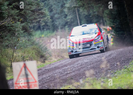 Rally Car in den Cambrian Rallye 2019 konkurrieren, in Alwen Forest, North Wales Stockfoto