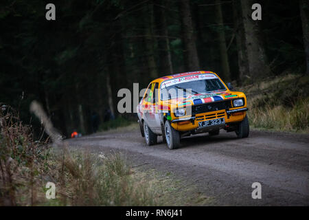 Rally Car in den Cambrian Rallye 2019 konkurrieren, in Alwen Forest, North Wales Stockfoto