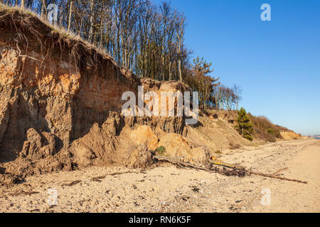 Zerbröckelnde Klippen am Cudmore Grove Country Park, East Mersea, Essex. Stockfoto