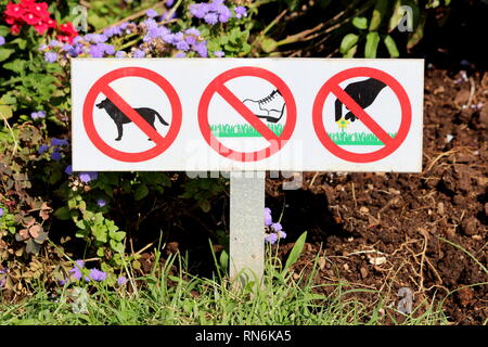 Keine Hunde erlaubt keinen Fuß auf Gras und keine Blumen pflücken Anmelden lokalen Park mit Gras und Blumen auf warmen sonnigen Tag umgeben erlaubt Stockfoto