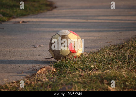 Fußball im Park Stockfoto