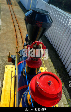 Bunte miniatur Zug am Hafen von Belfast, Belfast, Nordirland, Europa Stockfoto