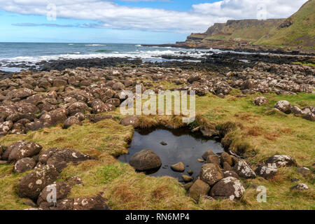 Giant's Causeway park Landschaft, Meeresumwelt, Nordirland, Europa Stockfoto