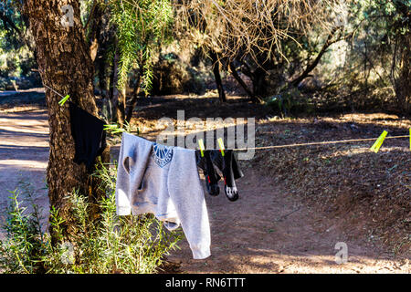 Bänder an einem Seil im Wald, farbenfrohe, Wettbewerbe, Gebühren, Wandern Stockfoto