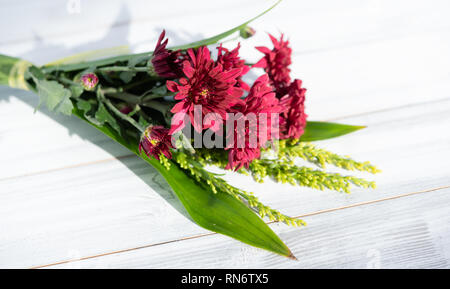 Schöne rote frische Chrysantheme Blumen boquet auf weißem Holz- Hintergrund Stockfoto