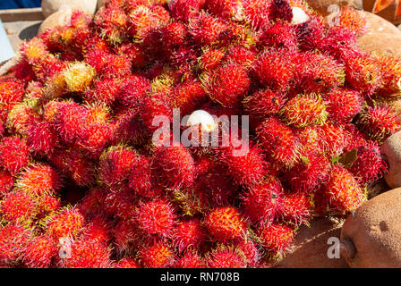 Rambutan, Nephelium Lappaceum, exotische Früchte an tlacolula Markt, Oaxaca, Mexiko Stockfoto